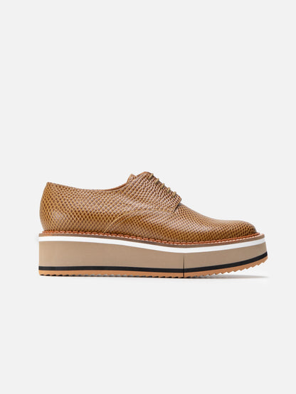 DERBIES - BROOK, snake - effect gobi - 3606064043815 - Clergerie Paris - Europe