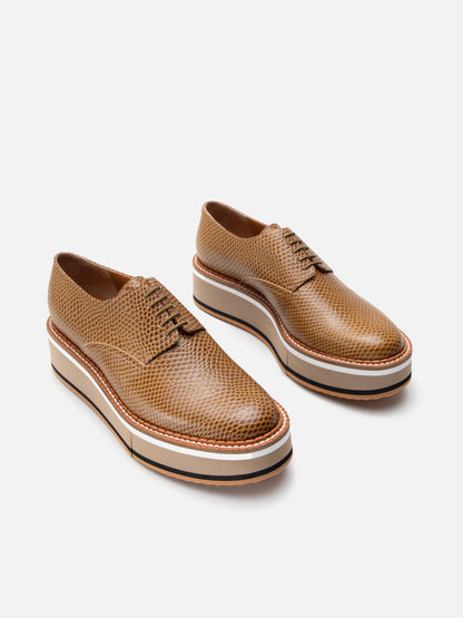 DERBIES - BROOK, snake - effect gobi - 3606064043815 - Clergerie Paris - Europe