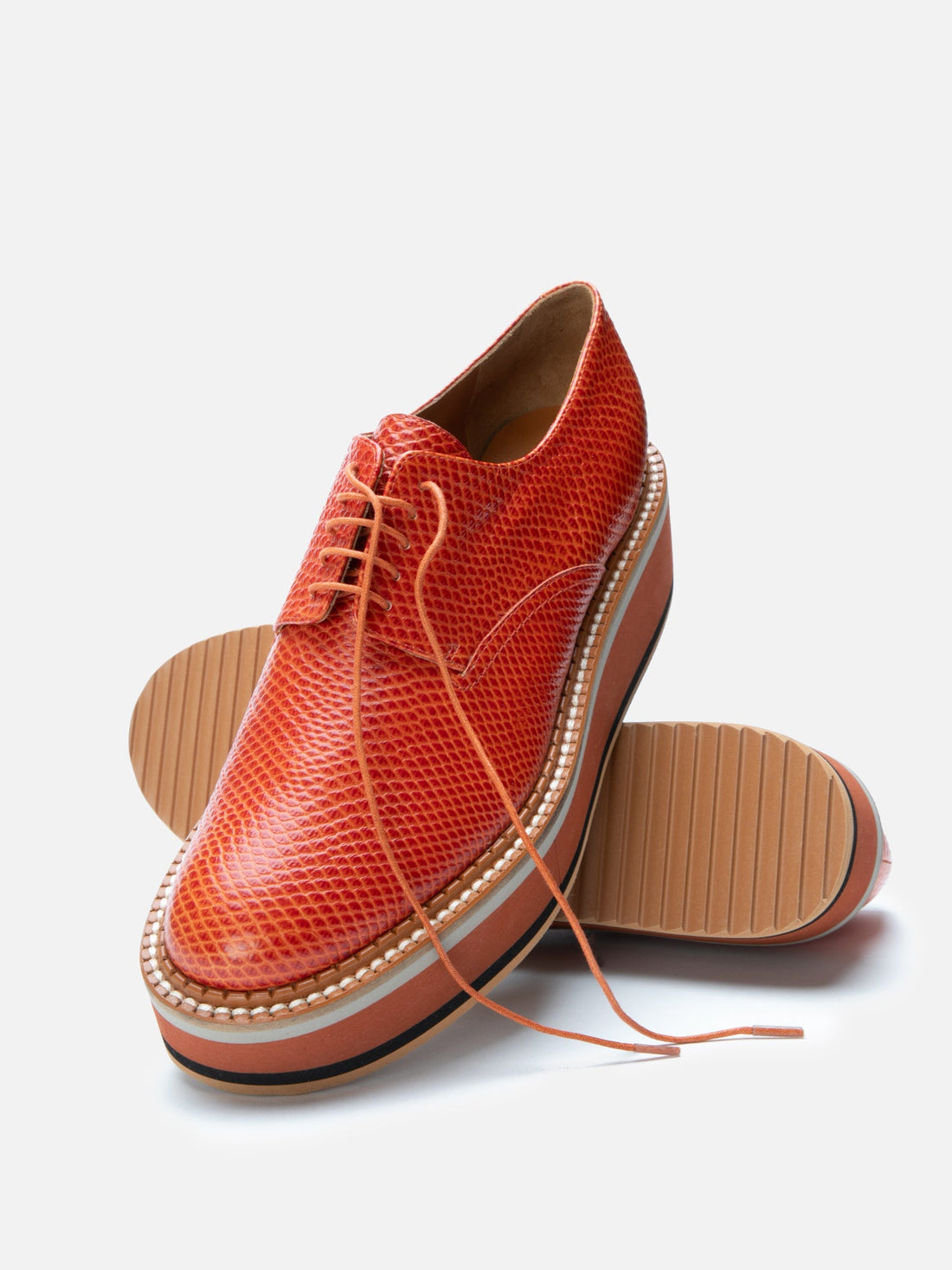 DERBIES - BROOK, snake - effect spice - 3606064043471 - Clergerie Paris - Europe