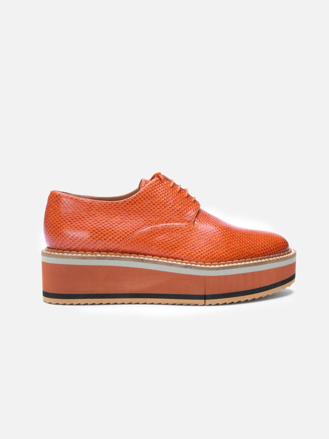 DERBIES - BROOK, snake - effect spice - 3606064043471 - Clergerie Paris - Europe