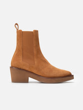 ANKLE BOOTS - TEGAN, suede bush - 3606064071467 - Clergerie Paris - Europe